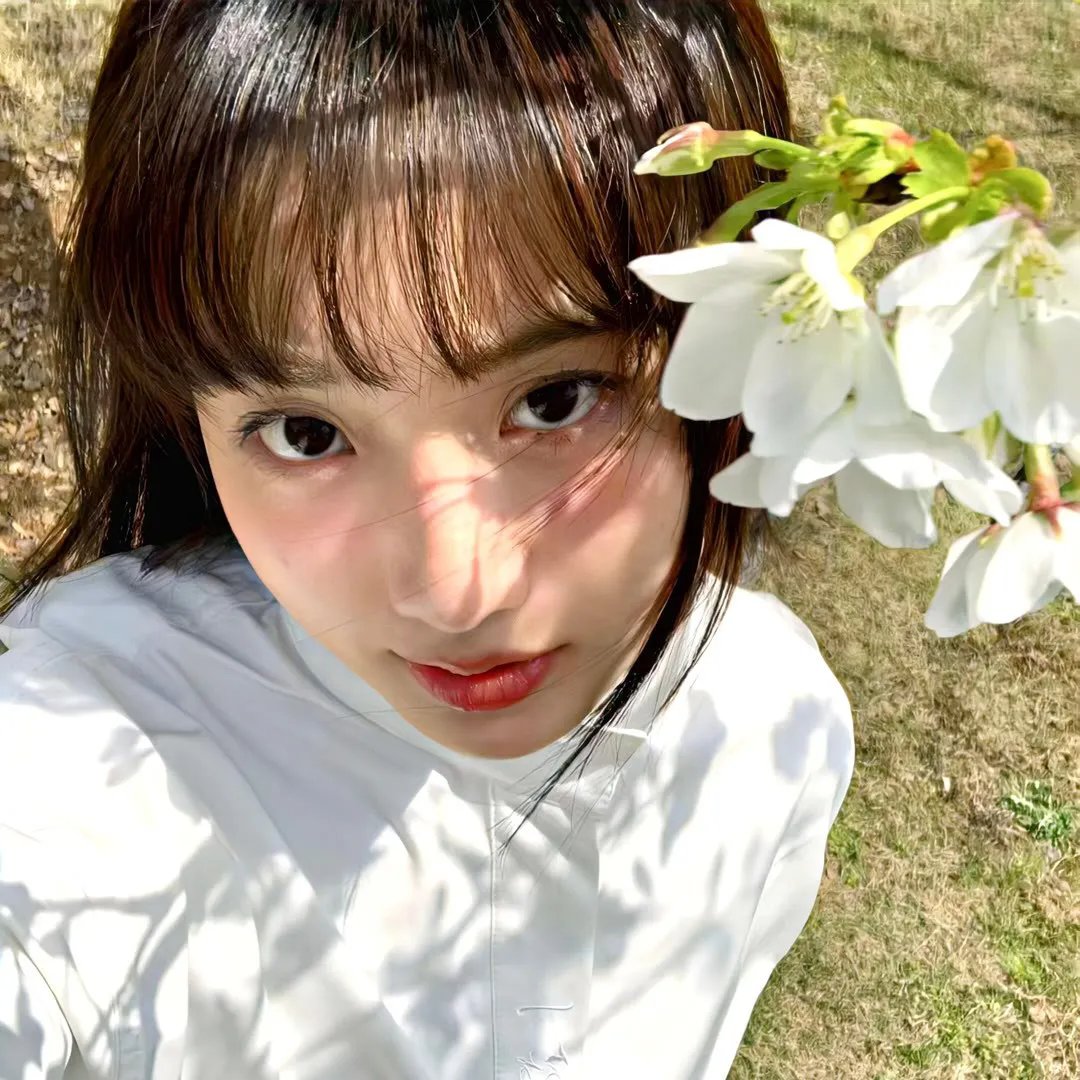边境奇谭